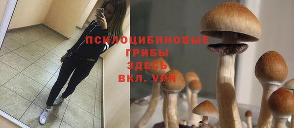 марки lsd Балахна