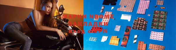 шишки Баксан