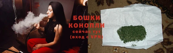 шишки Баксан