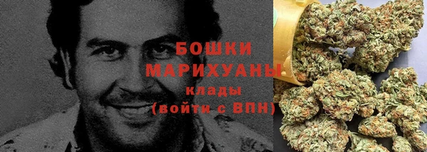 шишки Баксан