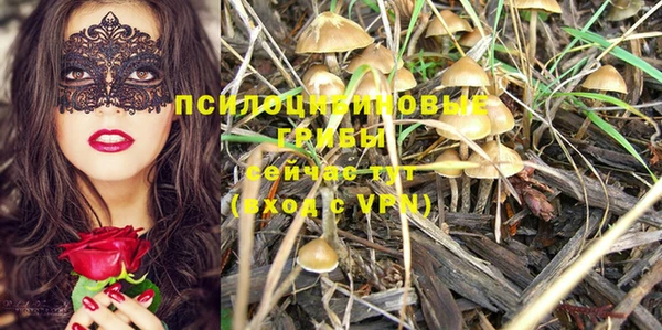 шишки Баксан